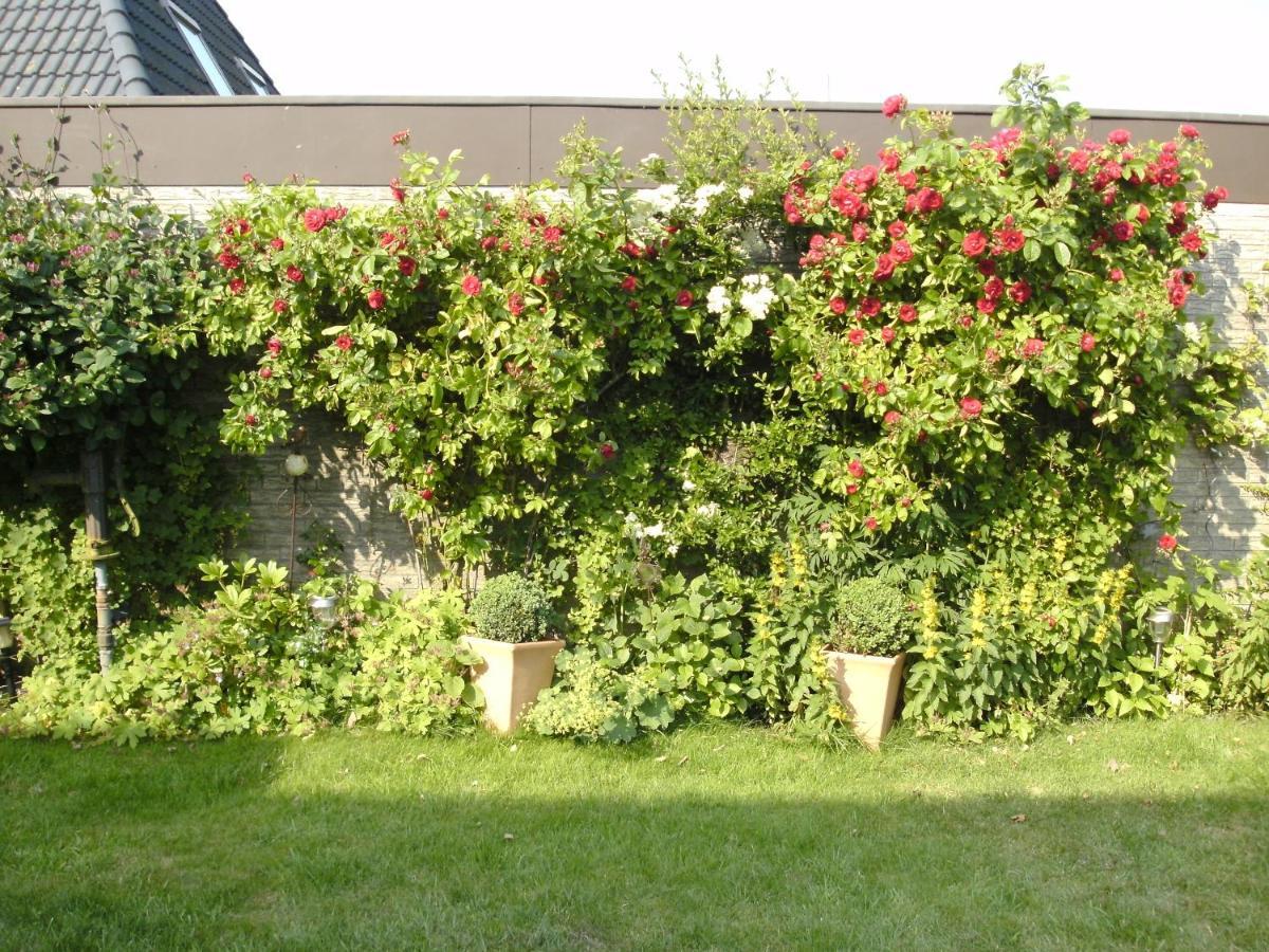 Apartamento Haus Mit Lilie Und Rose Westerdeichstrich Exterior foto